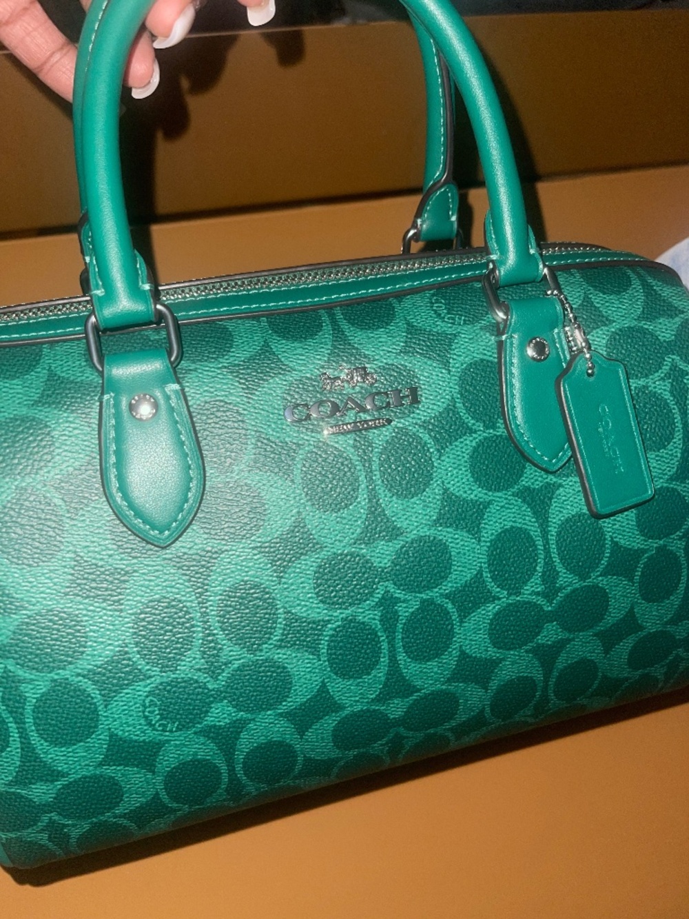 Coach Rowan Satchel Bag Crossbody Signature Canvas Bright Jade